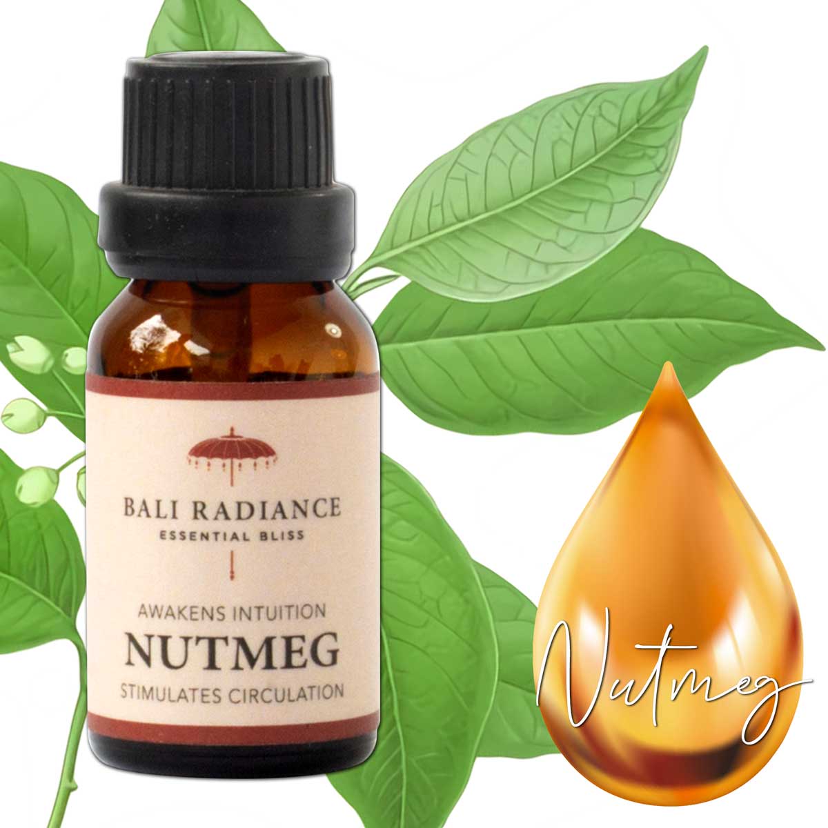 NUTMEG Essential Oil Bali Radiance